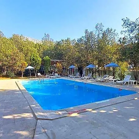 Tropicana Отель