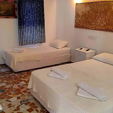 Отель Tropicana 2*